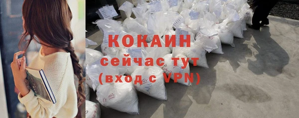 дживик Абаза
