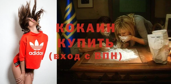 дживик Абаза