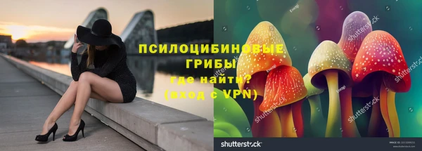 ешки Алексин