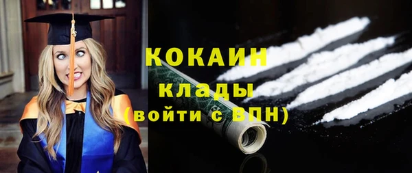 дживик Абаза