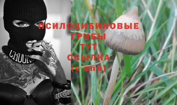 крисы Абдулино