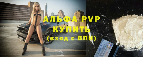 ешки Алексин