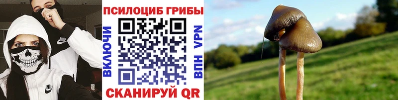Псилоцибиновые грибы мицелий  Монино 