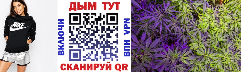 МАРИХУАНА OG Kush Монино