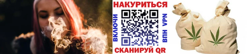 kraken зеркало  купить наркоту  Монино  Канабис сатива 